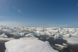 Sea ice in the Arctic is the thinnest on record