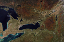 NASA captures fall colors across the globe