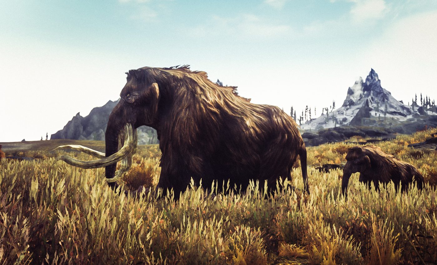 The truth about relict megafauna