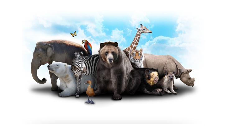 Endangered Species 101