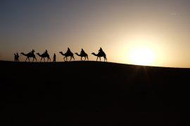2019/03/camels-1149803_1280.jpg