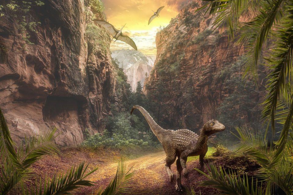 Are Birds Dinosaurs?