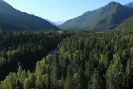 OCO-3 will monitor Earth's plants from space