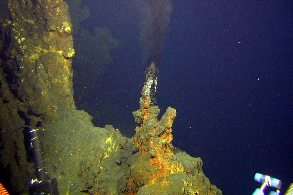 What Are Hydrothermal Vents? An Unlikely Home