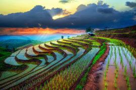Terraced,Paddy,Field,In,Mae-jam,Village,,,Chaingmai,Province,,