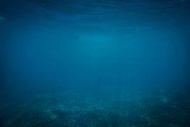2019/06/underwater-8020921.jpg