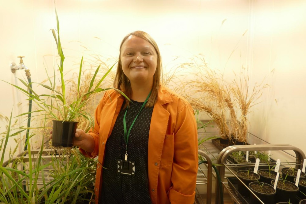 Researchers discover how to boost photosynthesis