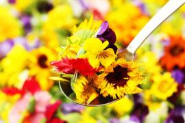 A,Spoonful,Of,Edible,Flowers