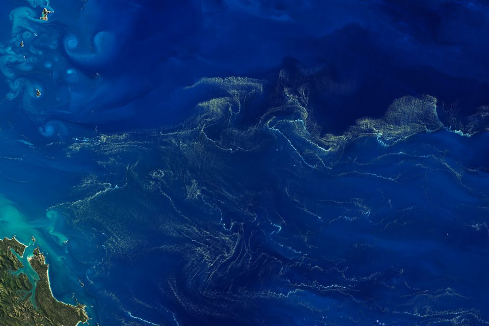Trichodesmium bloom near the Great Barrier Reef