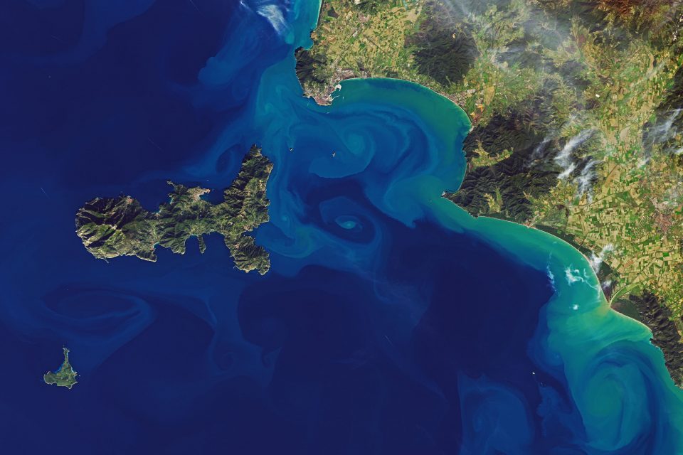 Colorful display in the Mediterranean Sea