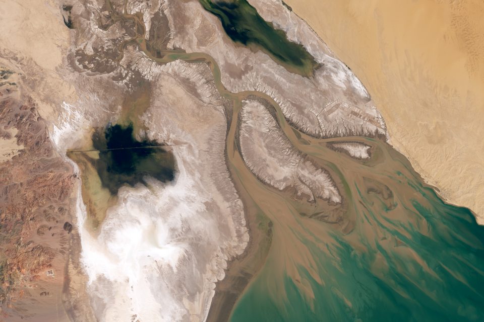 Colorado River Delta lost its wetlands