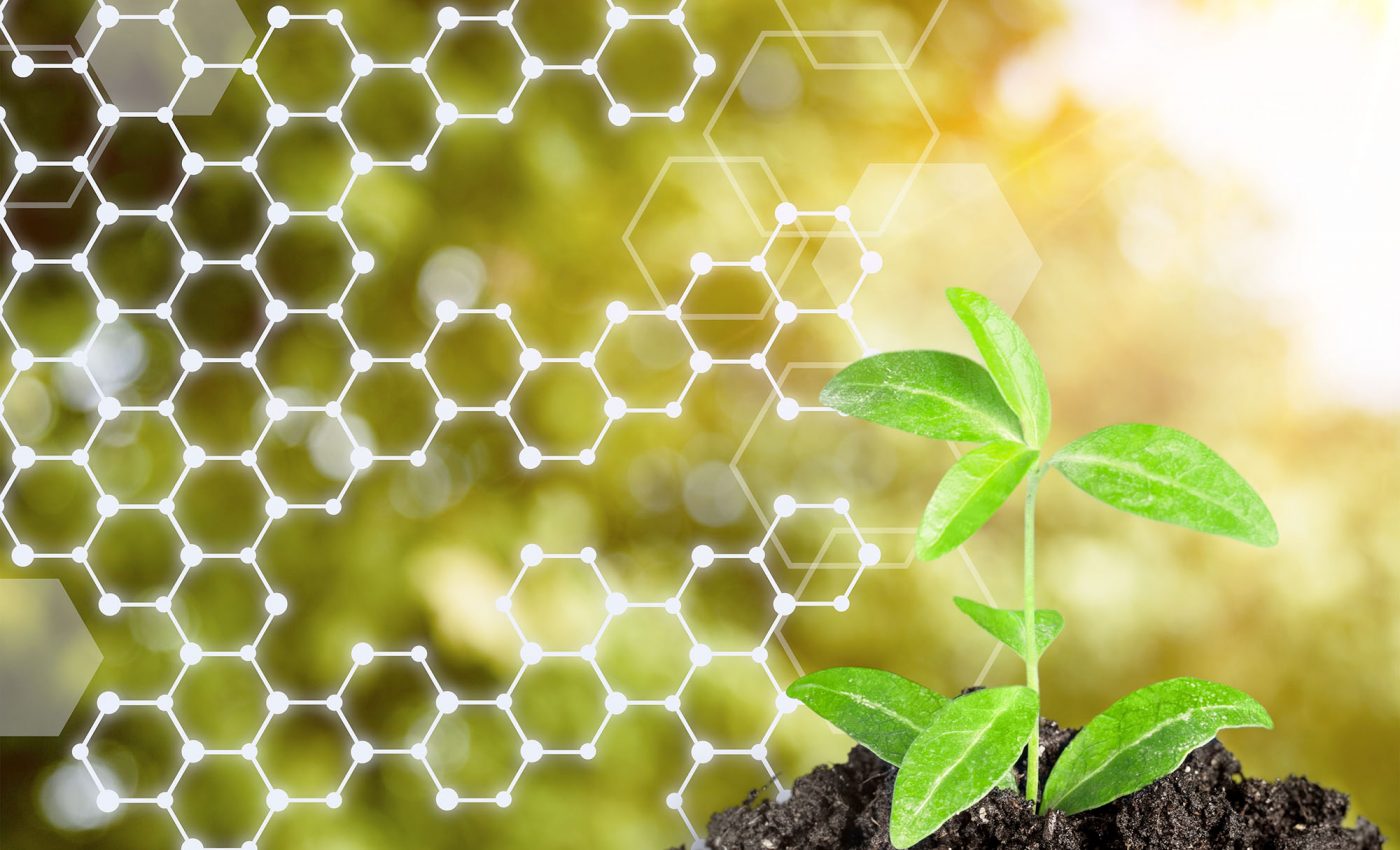 Scientists discover how plants protect themselves from pathogens