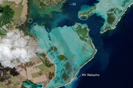 2020/08/Mauritius_oil_spill.jpg
