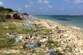 Tiny tropical island has giant pollution problem