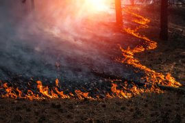 California wildfires have burned 1.25 million acres this month