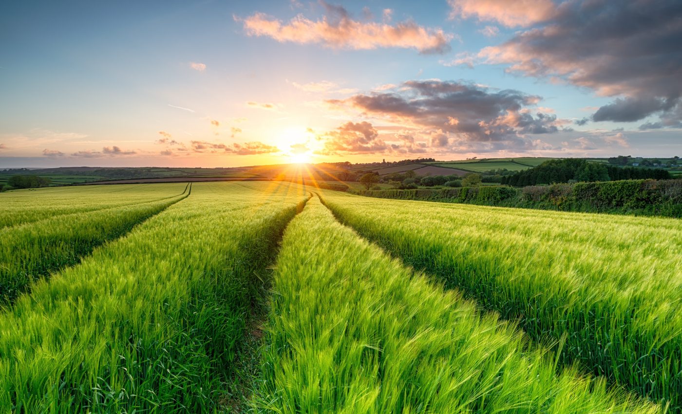 Pesticide-free crop protection could deliver billions in benefits