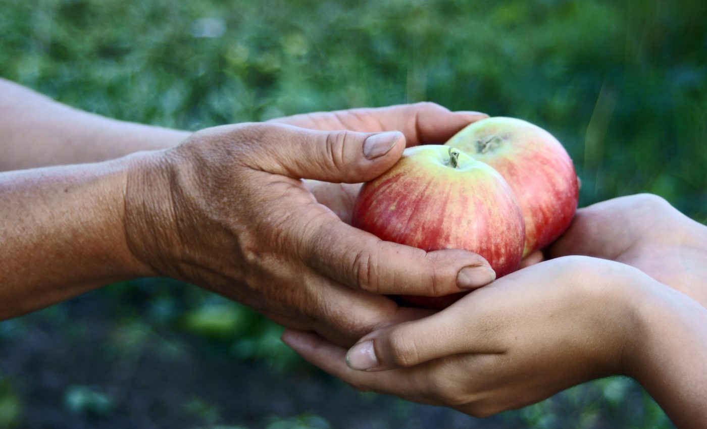 Generosity has been linked to substantially longer life expectancy