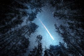 What comets tell us about the formation of our planet