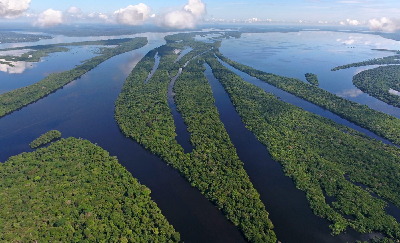 Forest degradation is more destructive than deforestation in the Brazilian Amazon