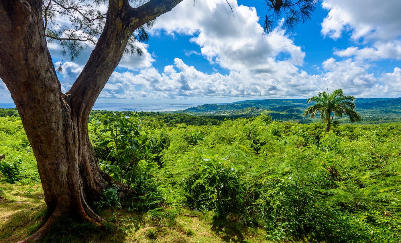 More than 90 percent of Earth's protected areas are isolated