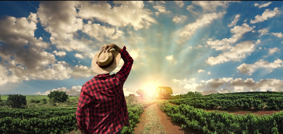 Farmers can help make crops more resilient