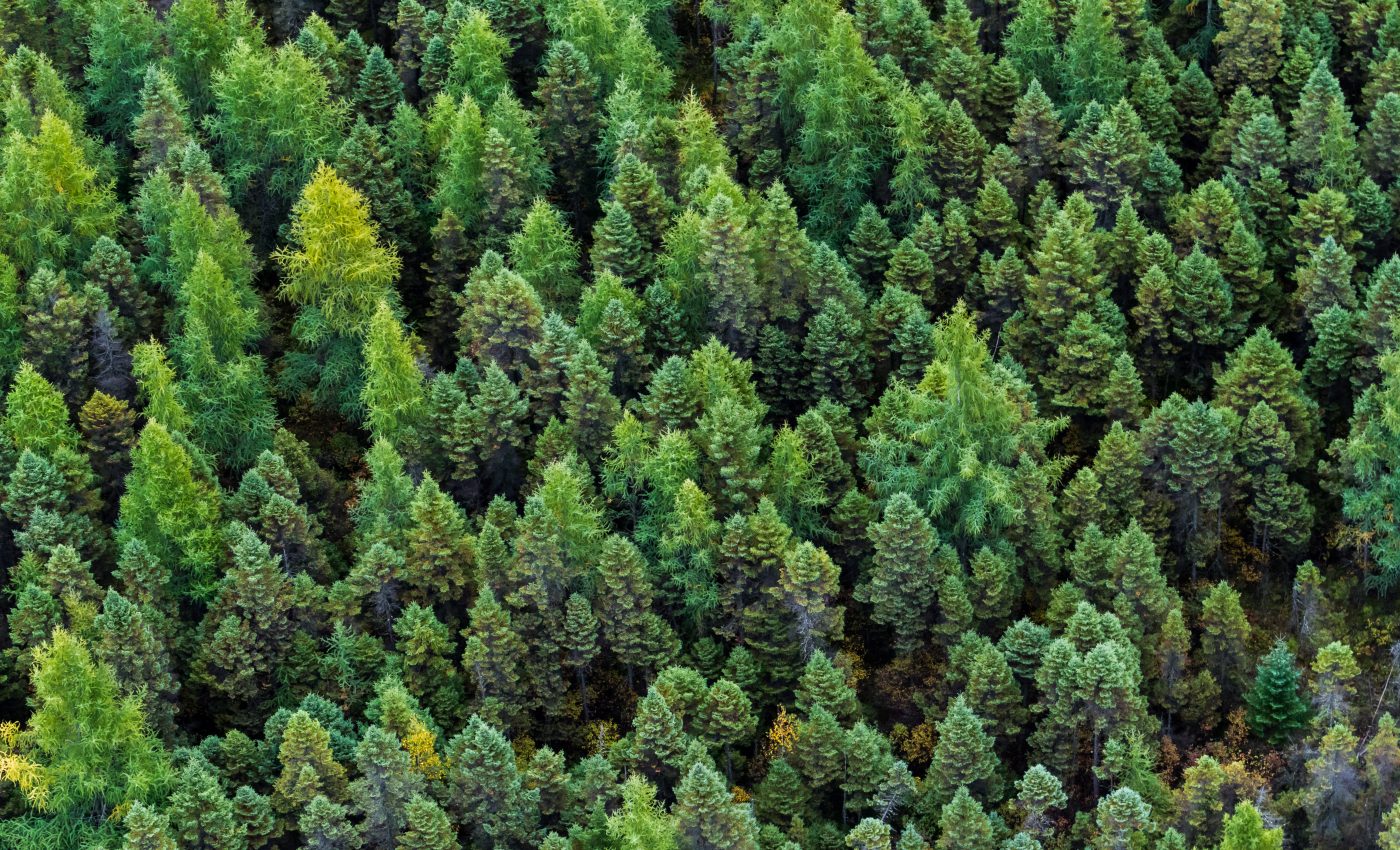 Carbon emissions from fire are controlled by soil composition