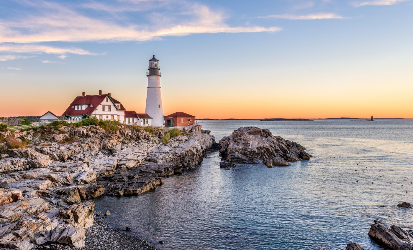 Shellfish are vanishing from the Gulf of Maine
