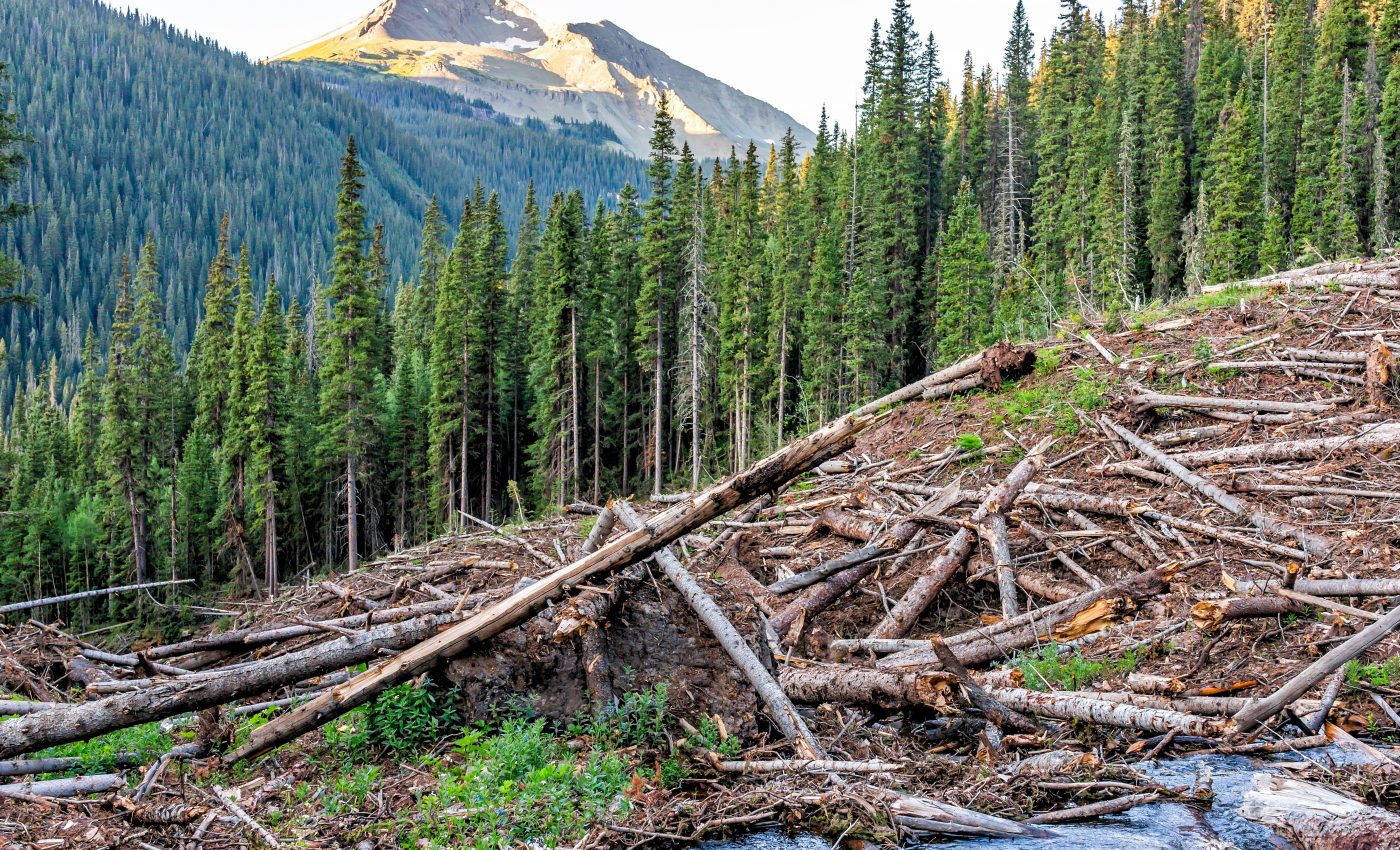 Western U.S. wildfires will increase the threat of dangerous debris flows
