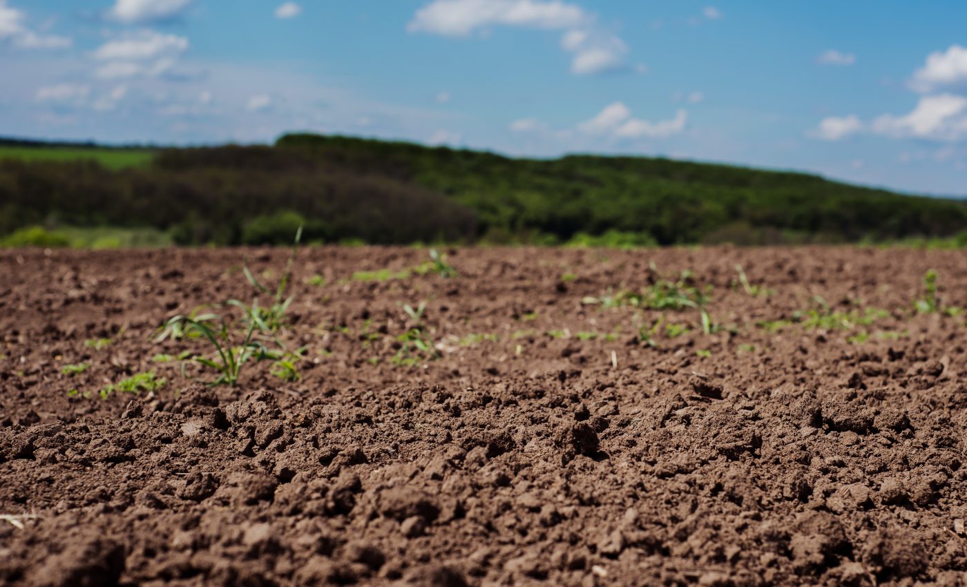 Warming of 2°C would unleash 230 billions tons of soil carbon