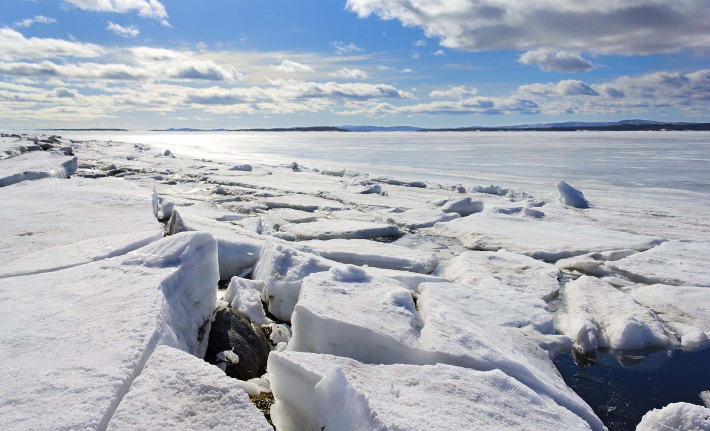 Phytoplankton remain surprisingly active underneath Arctic sea ice