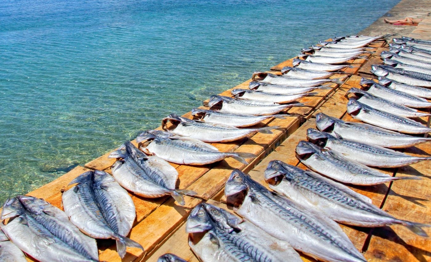 The seafood industry has been hit hard by the COVID-19 pandemic