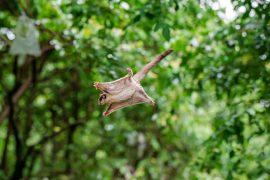 shutterstock_1813747193_628029176711.jpg