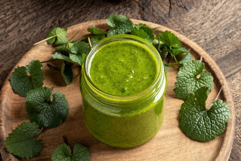 Is Garlic Mustard Edible? How to Prepare It