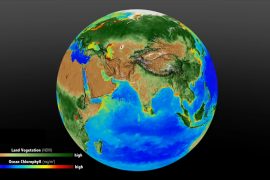 Plants are struggling to keep up with rising CO2 levels