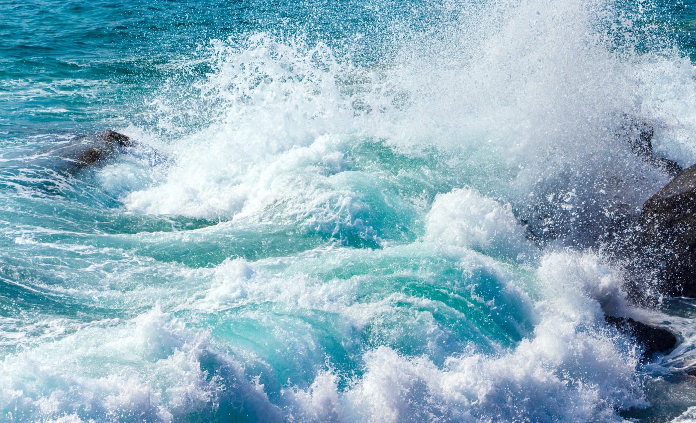 Microplastics travel by wind to remote parts of the ocean