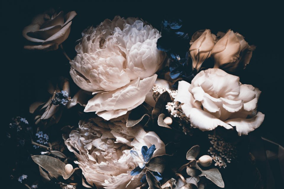 20+ Types of Thank You Flowers