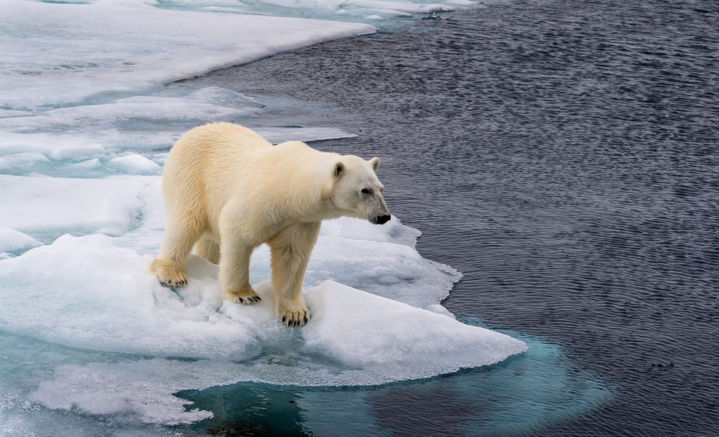 Arctic warming linked to earthquakes more than 1,200 miles away