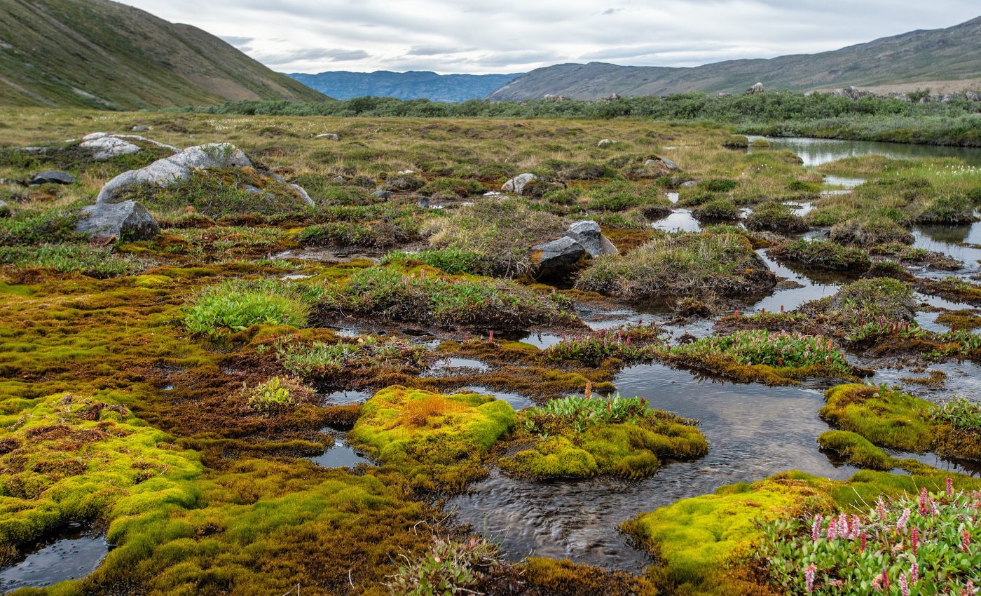 Permafrost soils are collapsing under rising temperatures