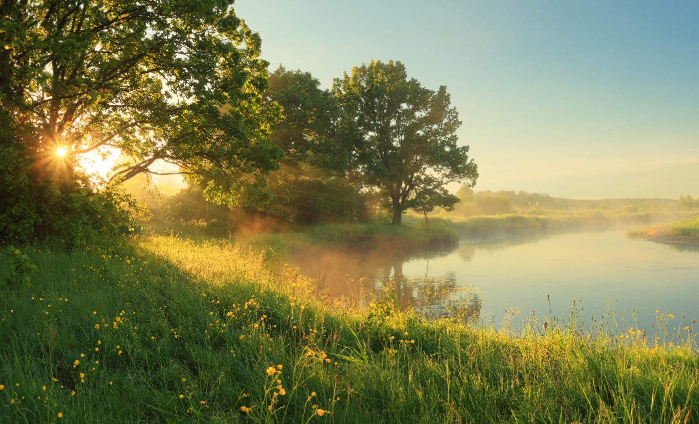 Grasslands are turning into a source of harmful emissions