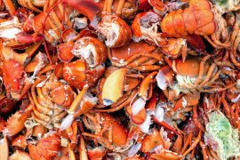Lobster shells have inspired stronger concrete