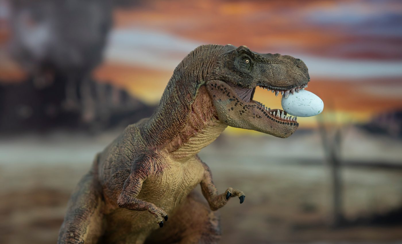 Baby tyrannosaurs were surprisingly small