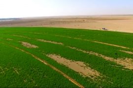 Monitoring groundwater resources in dry regions