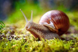 shutterstock_1208179807-1.jpg