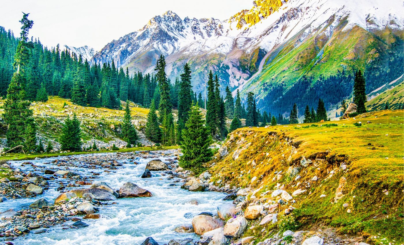 Melting glaciers speed up plant decomposition, carbon emissions