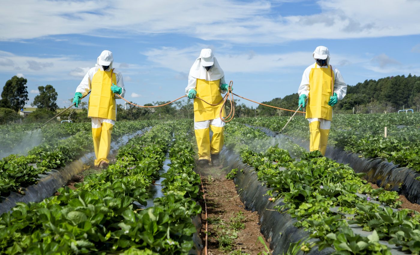 Pesticides have become increasingly toxic to insects