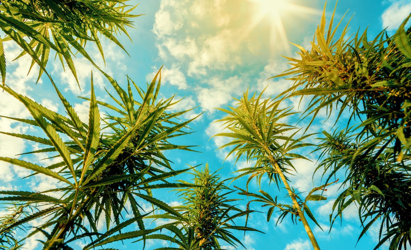 Smoking cannabis can cause visual impairment