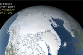 Maximum Arctic ice extent tied for record low