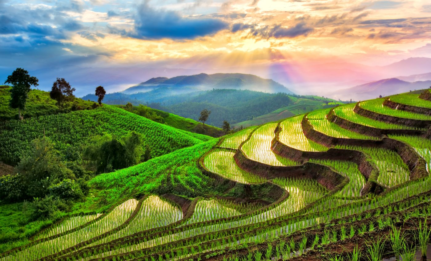 Earth Day Initiative: Food Systems