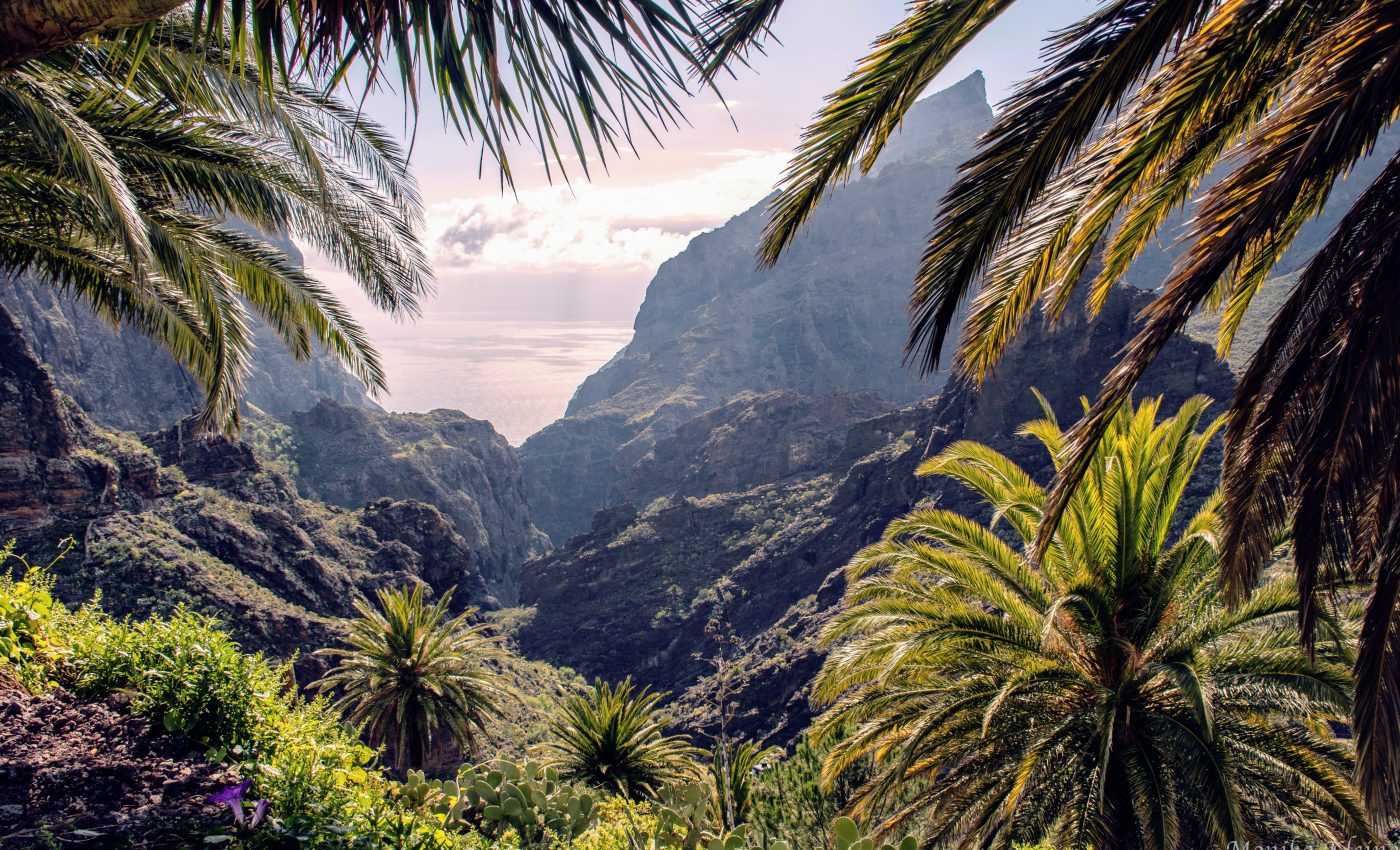 How much have humans impacted the world's plant life?