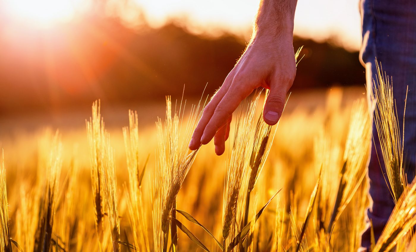 Nutritional value of crops varies by location